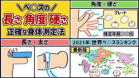 平均 チン長|ペニスの平均は！？長さ･太さ･硬さの測定方法